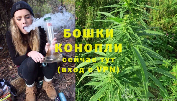 ALPHA PVP Касимов