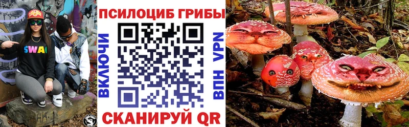 Псилоцибиновые грибы Psilocybe  наркошоп  Ак-Довурак 